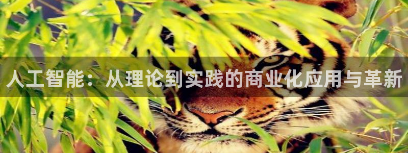 人工智能：从理论到实践的商业化应用与革新