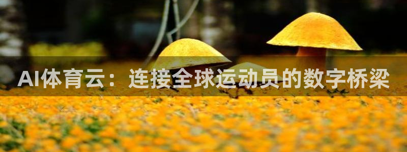 AI体育云：连接全球运动员的数字桥梁