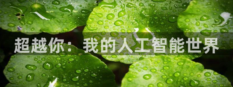 超越你：我的人工智能世界