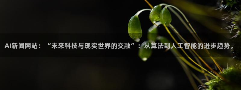 AI新闻网站：“未来科技与现实世界的交融”：从算法到人工智能的进步趋势。