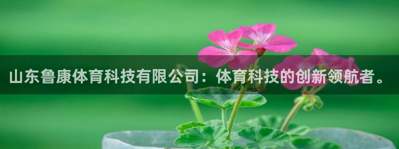 山东鲁康体育科技有限公司：体育科技的创新领航者。