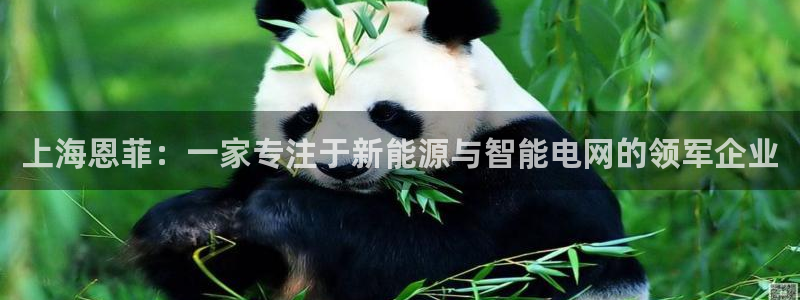 上海恩菲：一家专注于新能源与智能电网的领军企业