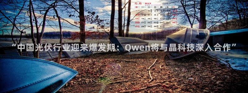 “中国光伏行业迎来爆发期：Qwen将与晶科技深入合作”