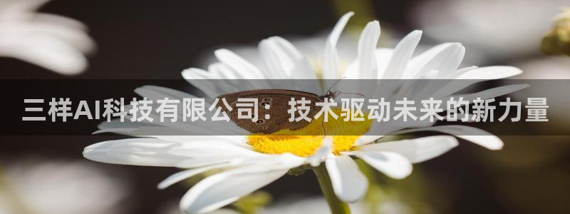 三样AI科技有限公司：技术驱动未来的新力量