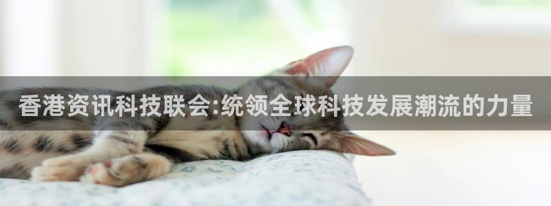 香港资讯科技联会:统领全球科技发展潮流的力量