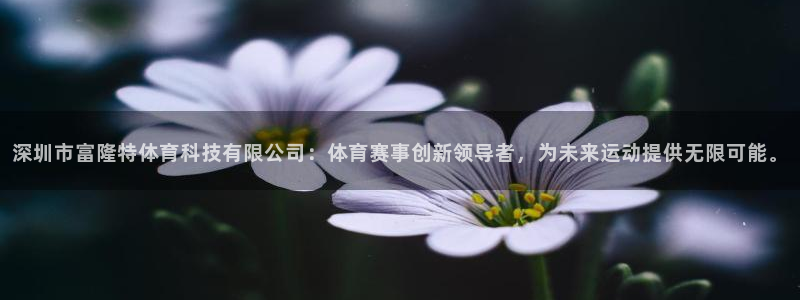 深圳市富隆特体育科技有限公司：体育赛事创新领导者，为未来运动提供无限可能。