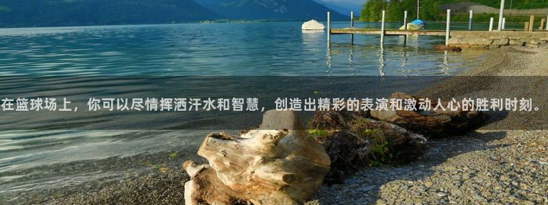 在篮球场上，你可以尽情挥洒汗水和智慧，创造出精彩的表演和激动人心的胜利时刻。