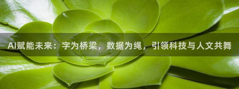 AI赋能未来：字为桥梁，数据为绳，引领科技与人文共舞