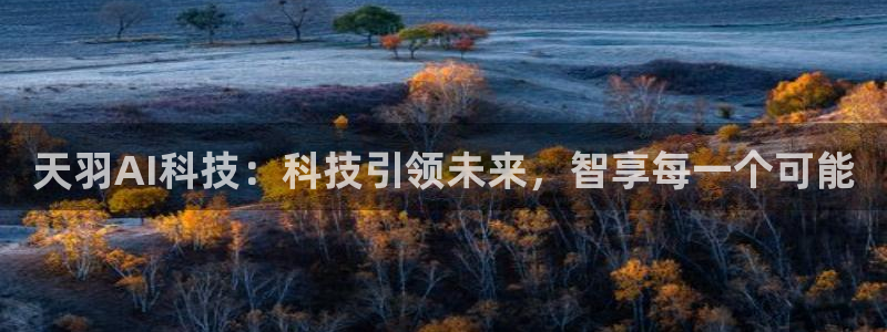 天羽AI科技：科技引领未来，智享每一个可能