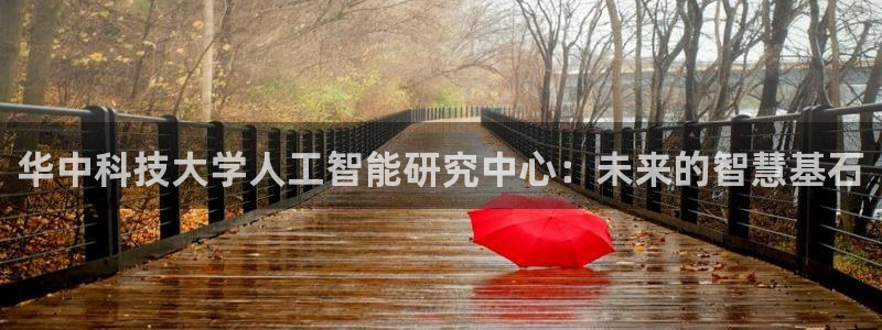 华中科技大学人工智能研究中心：未来的智慧基石