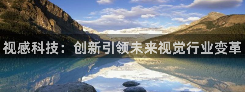 视感科技：创新引领未来视觉行业变革