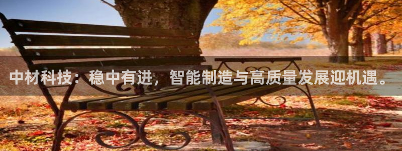中材科技：稳中有进，智能制造与高质量发展迎机遇。