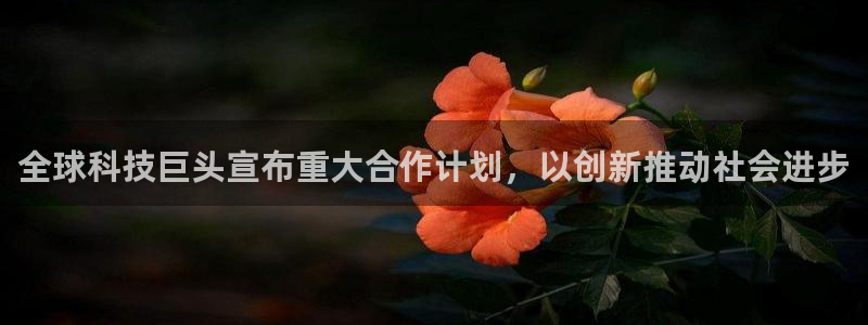 全球科技巨头宣布重大合作计划，以创新推动社会进步