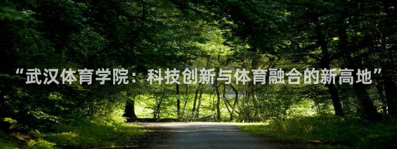 “武汉体育学院：科技创新与体育融合的新高地”