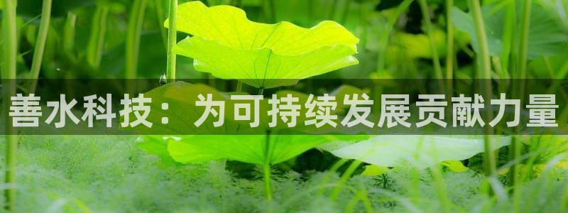 善水科技：为可持续发展贡献力量