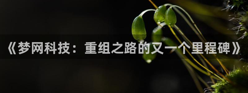 《梦网科技：重组之路的又一个里程碑》