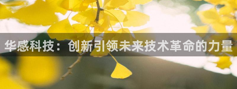 华感科技：创新引领未来技术革命的力量