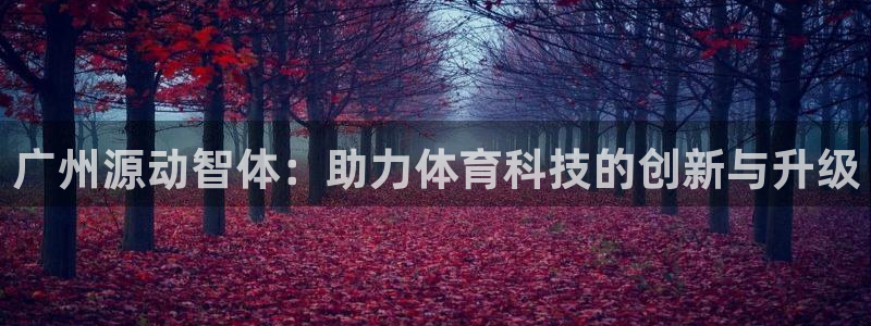 广州源动智体：助力体育科技的创新与升级