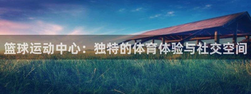 篮球运动中心：独特的体育体验与社交空间