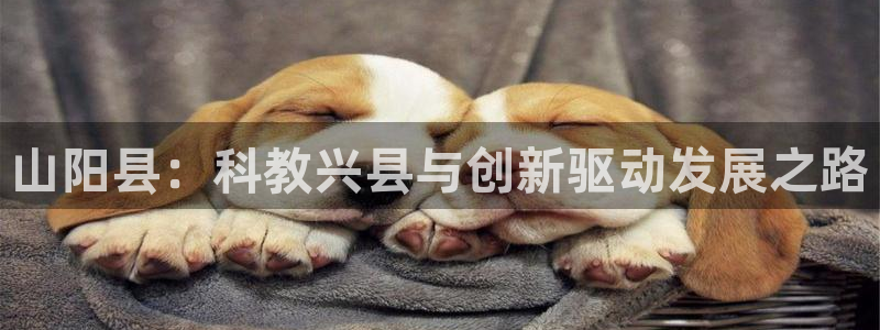 山阳县：科教兴县与创新驱动发展之路