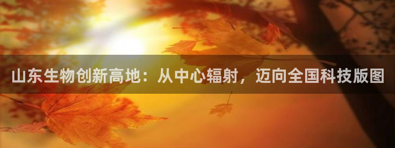 山东生物创新高地：从中心辐射，迈向全国科技版图