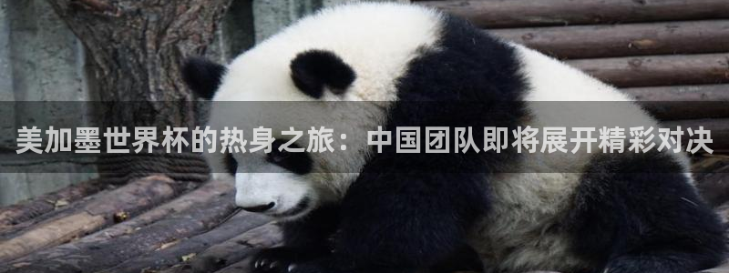 美加墨世界杯的热身之旅：中国团队即将展开精彩对决