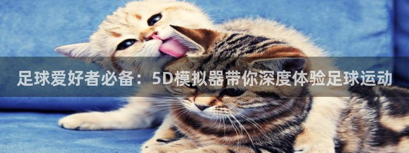足球爱好者必备：5D模拟器带你深度体验足球运动