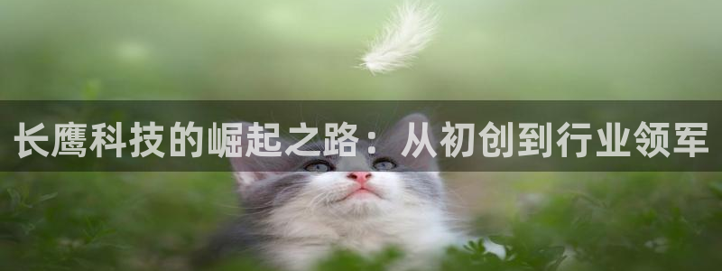 长鹰科技的崛起之路：从初创到行业领军