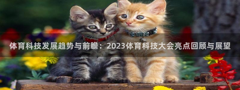体育科技发展趋势与前瞻：2023体育科技大会亮点回顾与展望