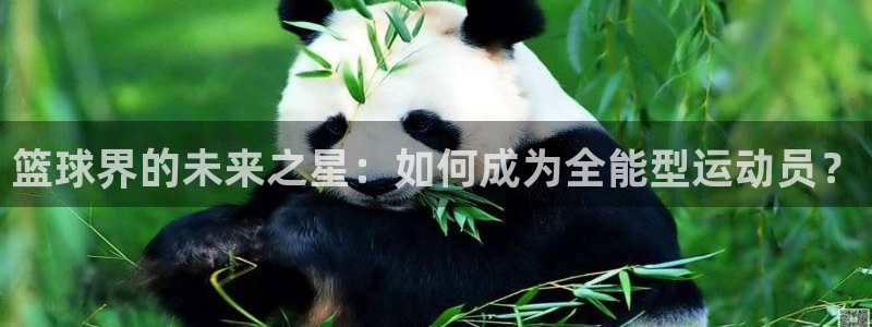 篮球界的未来之星：如何成为全能型运动员？