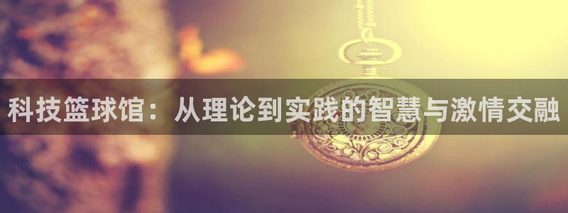 科技篮球馆：从理论到实践的智慧与激情交融