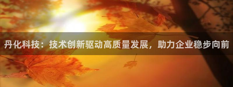 丹化科技：技术创新驱动高质量发展，助力企业稳步向前