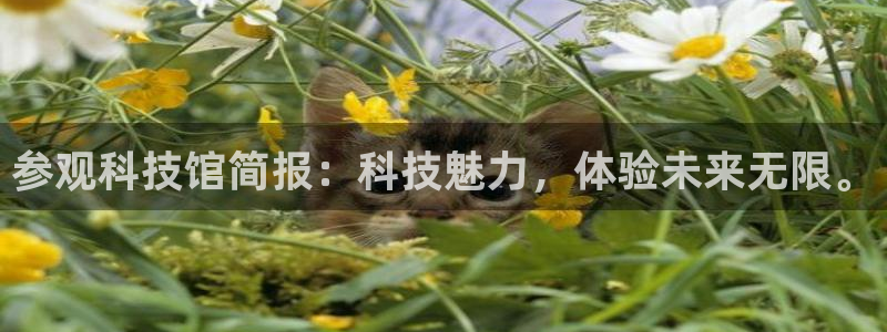 参观科技馆简报：科技魅力，体验未来无限。