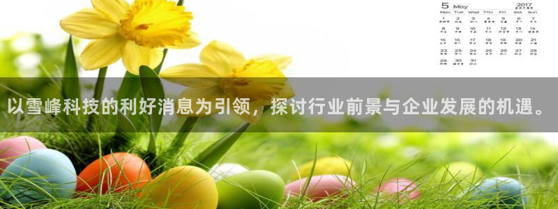 以雪峰科技的利好消息为引领，探讨行业前景与企业发展的机遇。