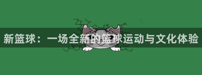新篮球：一场全新的篮球运动与文化体验