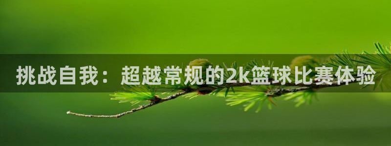挑战自我：超越常规的2k篮球比赛体验