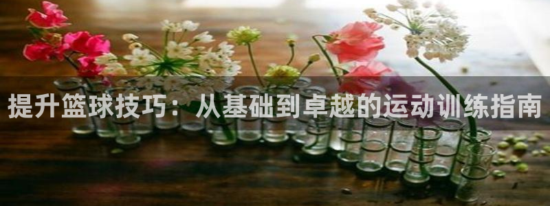 提升篮球技巧：从基础到卓越的运动训练指南