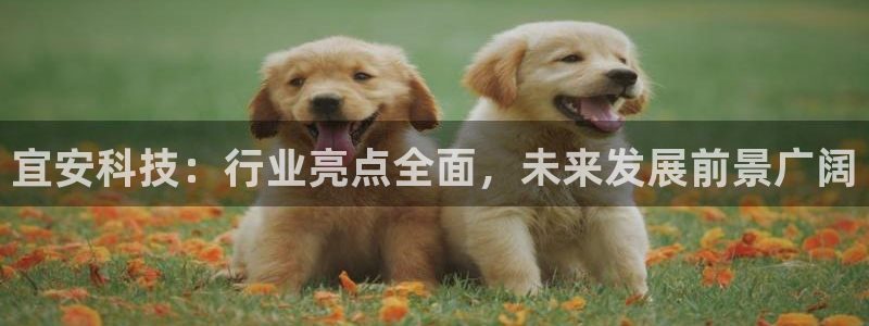 宜安科技：行业亮点全面，未来发展前景广阔