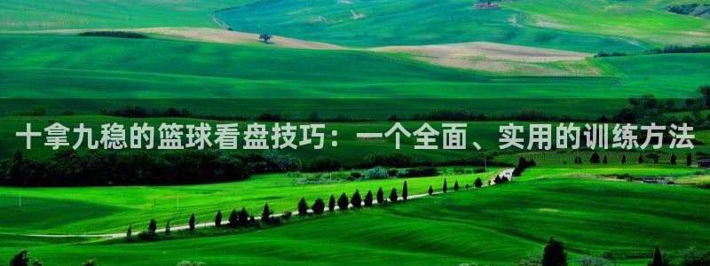 十拿九稳的篮球看盘技巧：一个全面、实用的训练方法