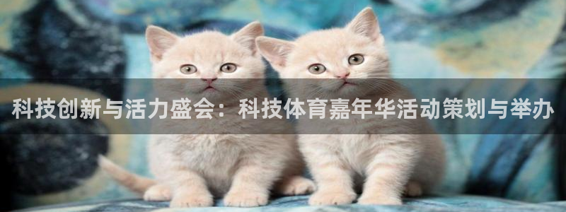 科技创新与活力盛会：科技体育嘉年华活动策划与举办