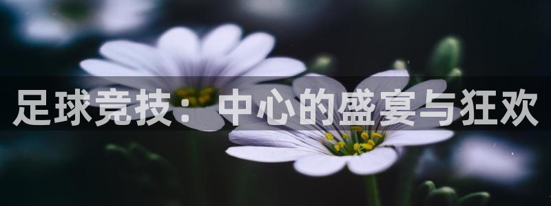 足球竞技：中心的盛宴与狂欢